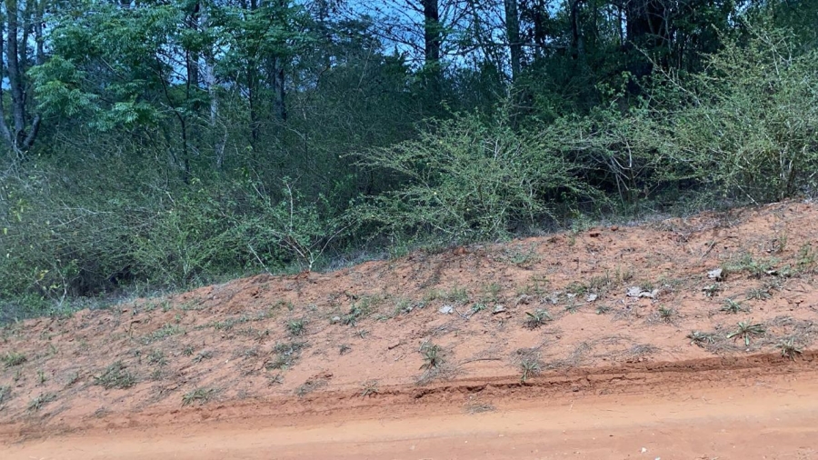 0 Bedroom Property for Sale in Bathurst Eastern Cape